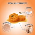 ROUND-ROYAL-JELLY-LOTION-2-1